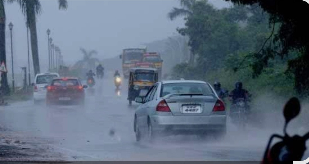 കാലവർഷം: എല്ലാ തദ്ദേശസ്ഥാപനങ്ങളും കൺട്രോൾ റൂമുകൾ തുറക്കണമെന്ന് ജില്ലാ കളക്ടർ